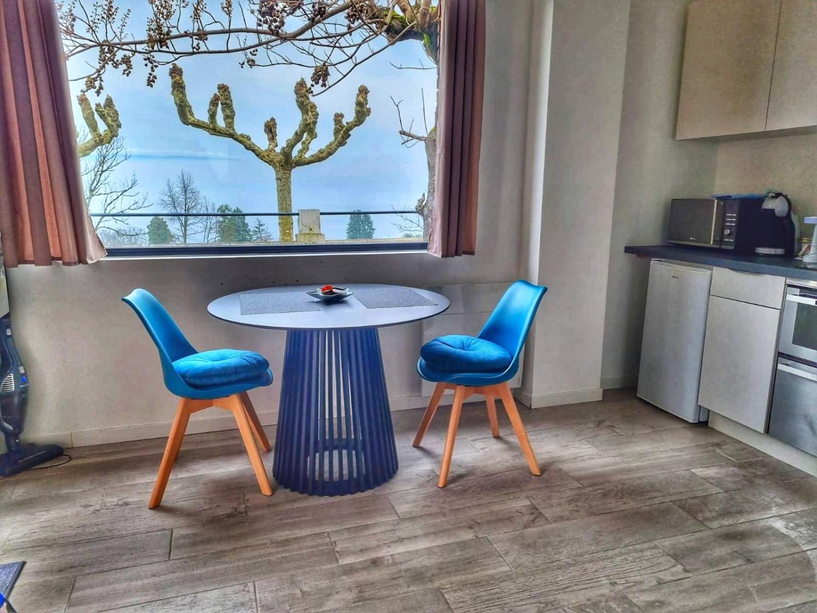 Appartement Cozy 2 Panoramique Lac Leman Тонон-ле-Бен Екстериор снимка